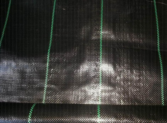 Anty UV Heavy Duty Ground Cover Fabric BV Tkana tkanina do kontroli chwastów